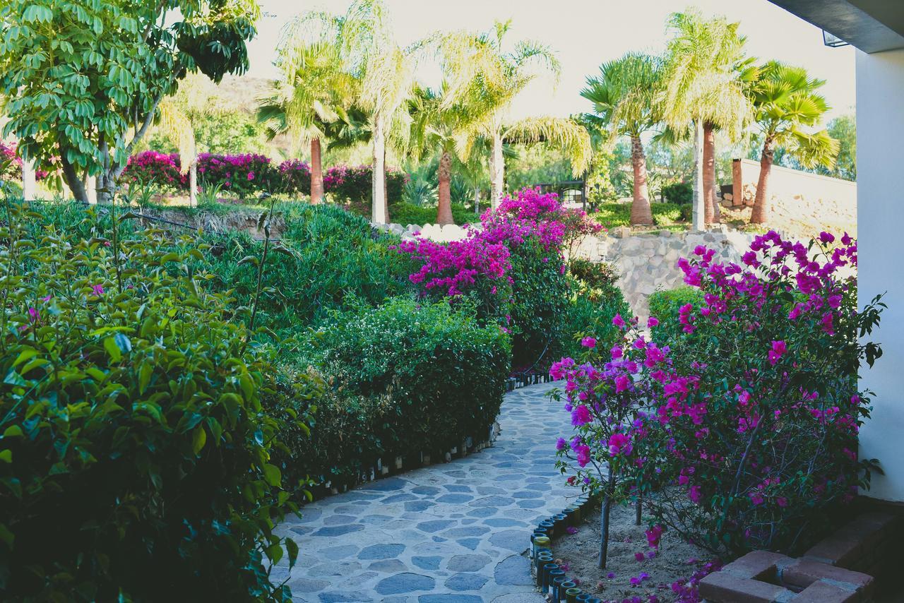 Hacienda Guadalupe Hotel Exterior photo